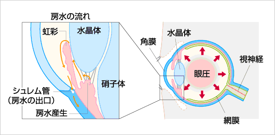 ちあき眼科 江南 眼の病気について